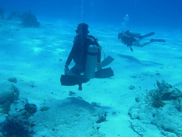 Excursiones de buceo